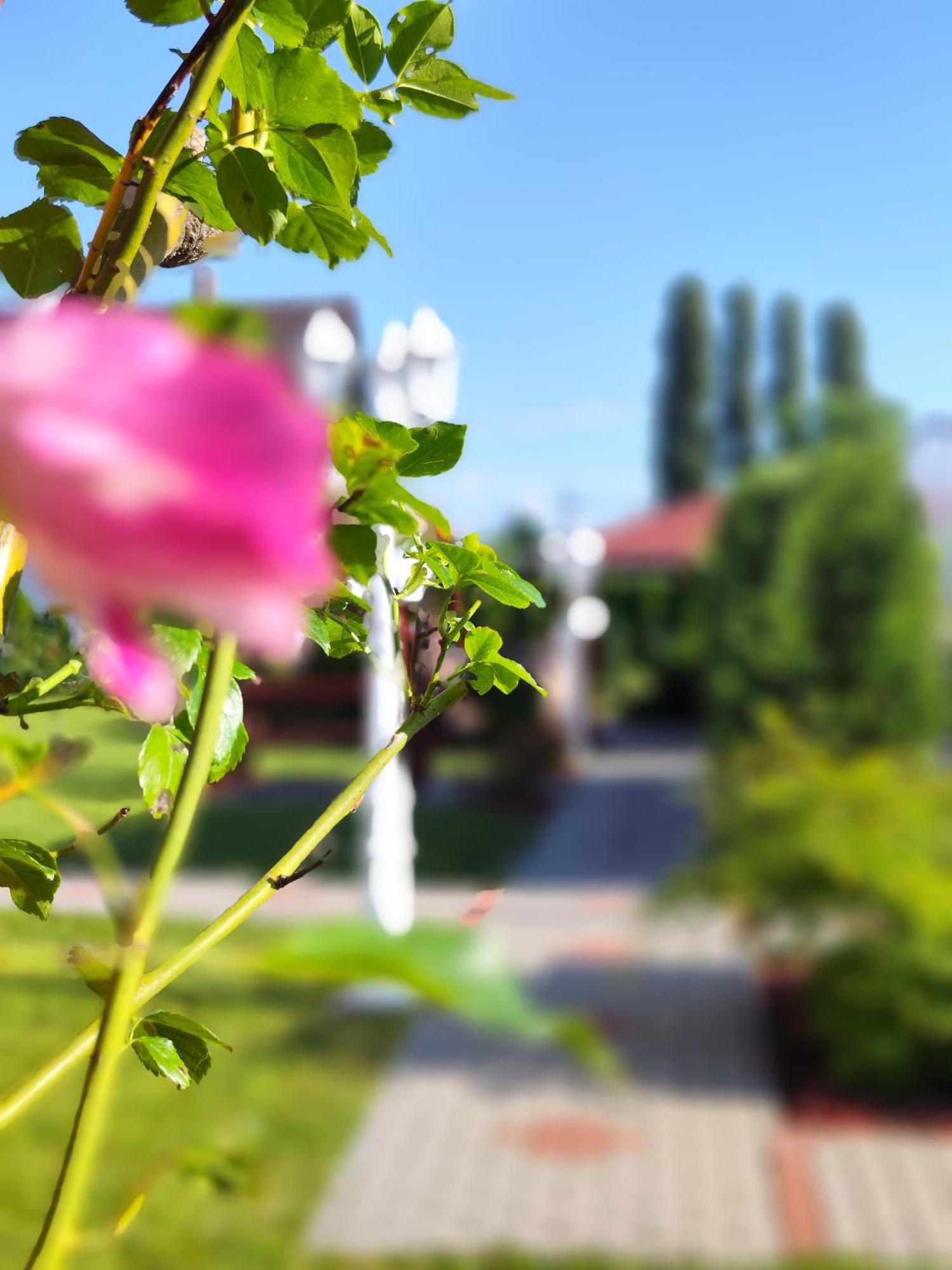 Havasi Ueduelohaz Daire Gyenesdiás Dış mekan fotoğraf